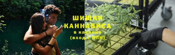 apvp Лихославль