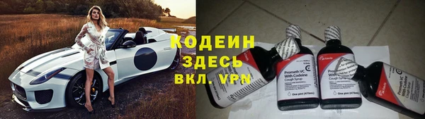 дживик Абаза