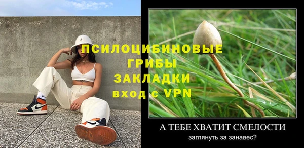 дживик Абаза