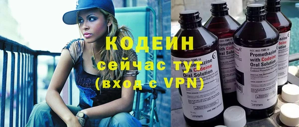 дживик Абаза