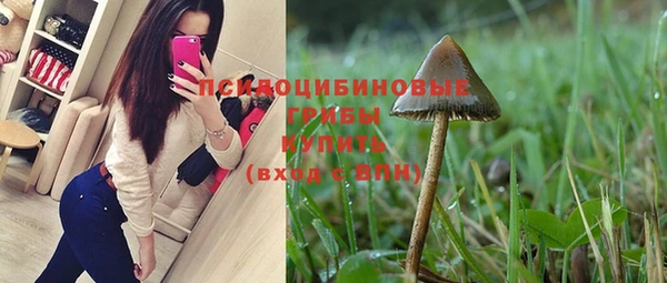 хмурый Абинск