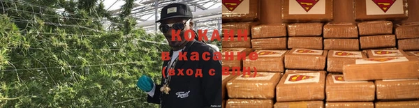 дживик Абаза