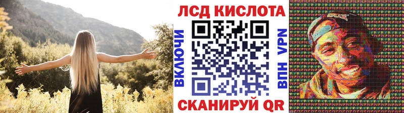 Марки N-bome 1500мкг  MEGA маркетплейс  Скопин  цены наркотик 