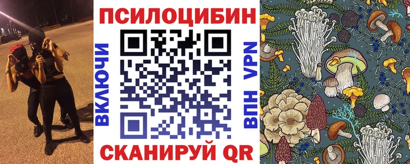 наркошоп  Скопин  KRAKEN ссылка  Псилоцибиновые грибы Psilocybine cubensis 